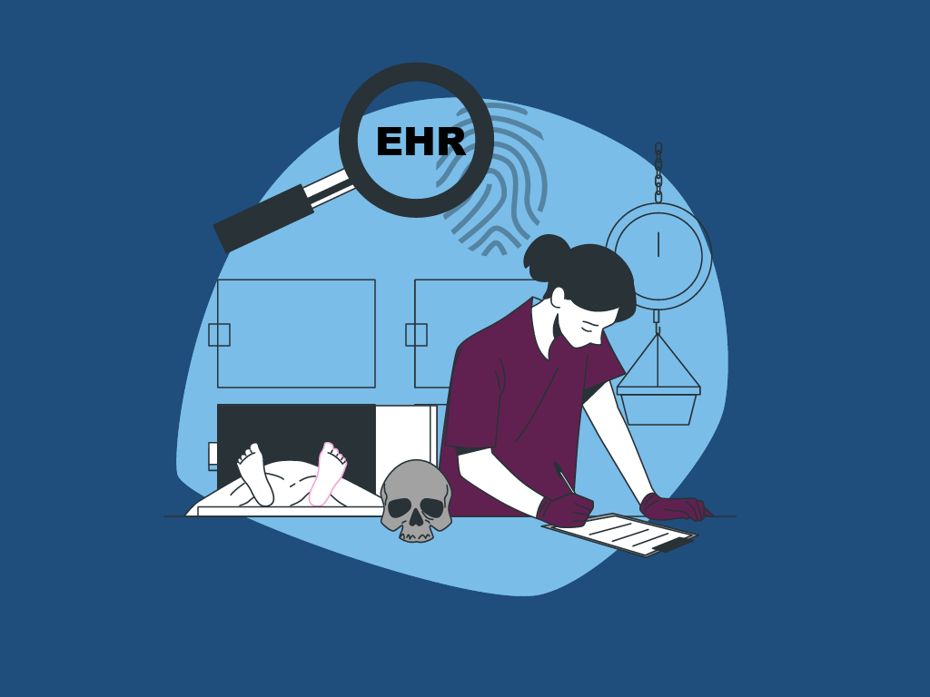 EHR Implementation (Step-by-Step Guide for Successful EHR Implementation)